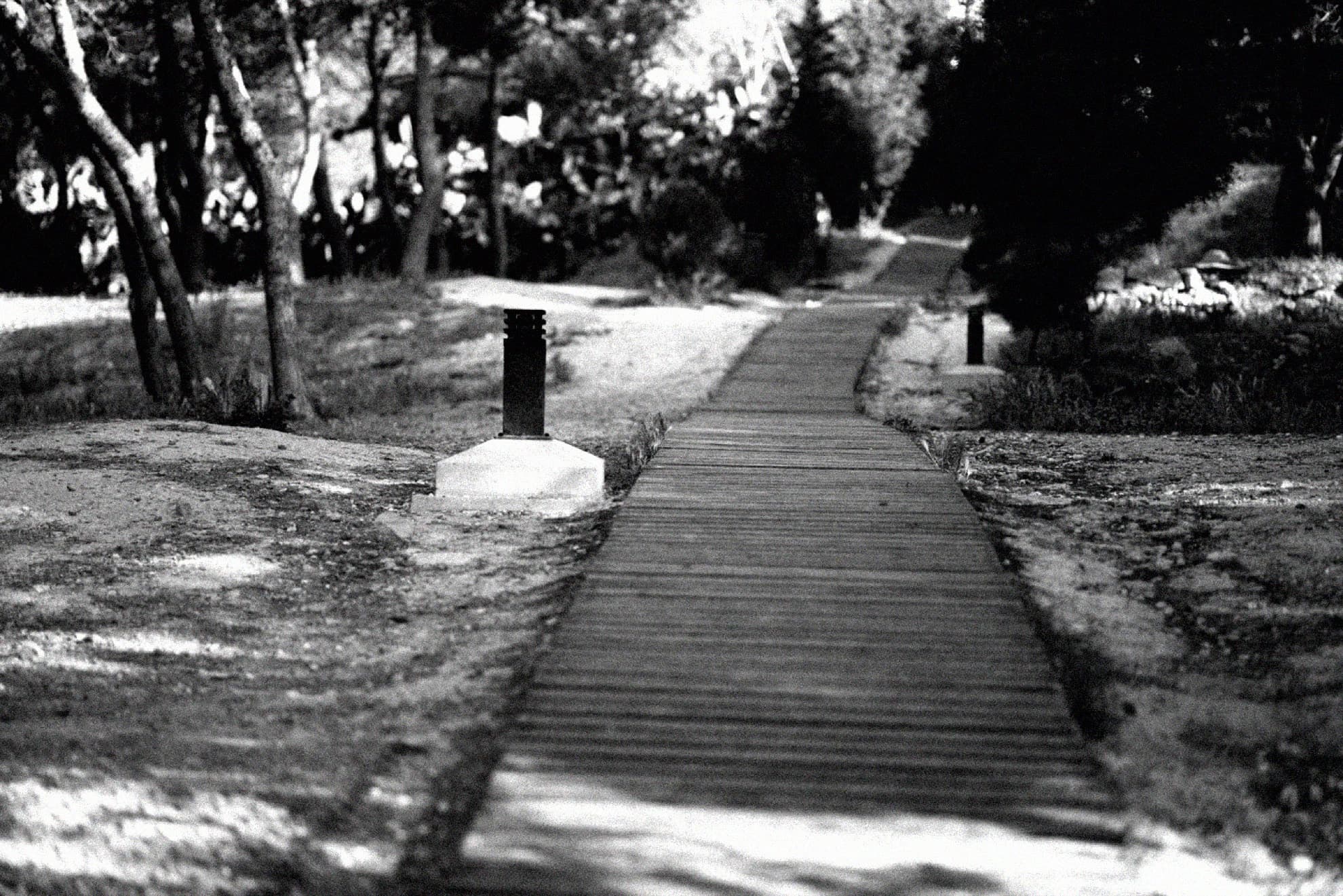 A wooden boardwalk through a park