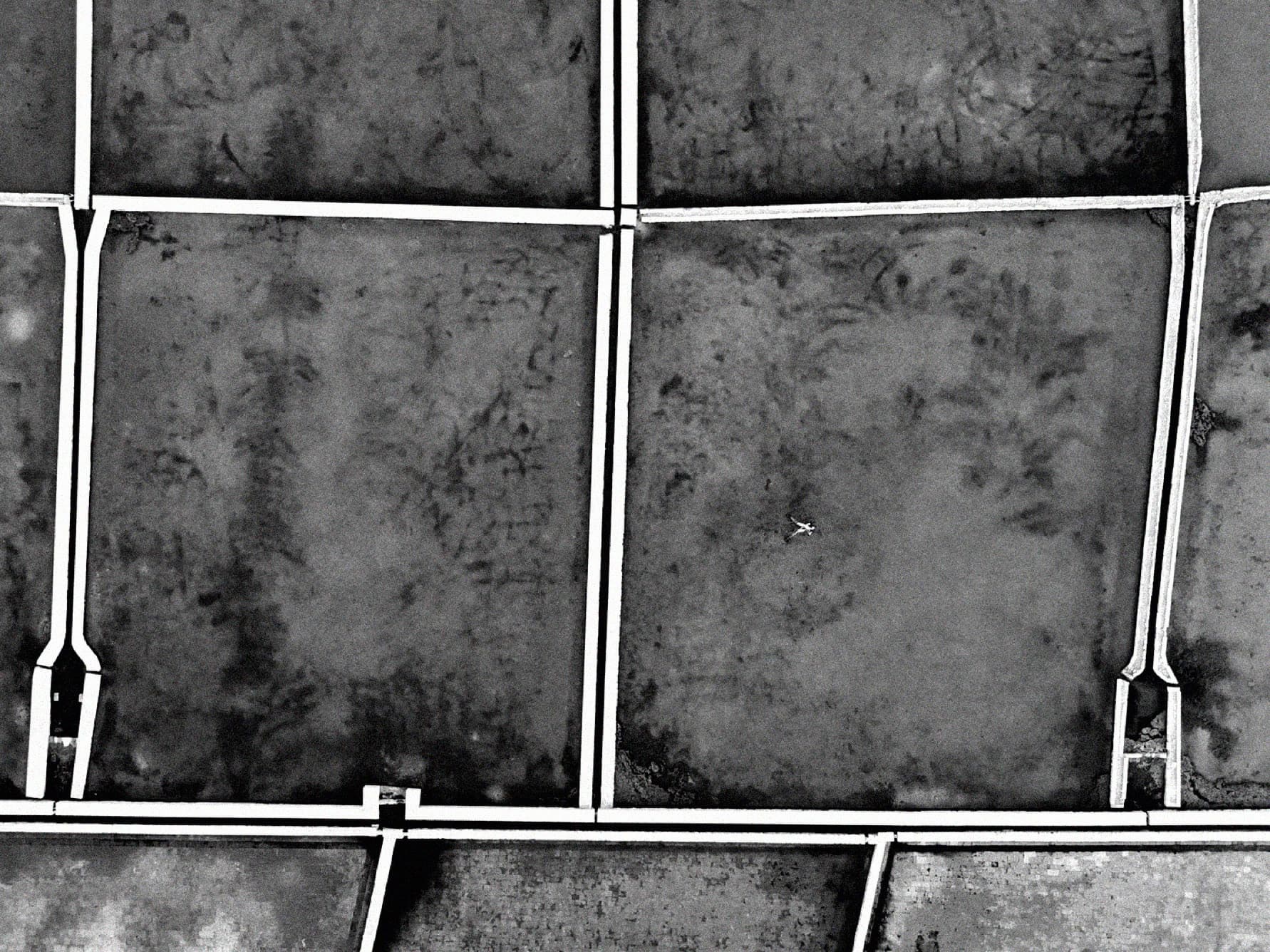 A grid of metal frames over weathered panels