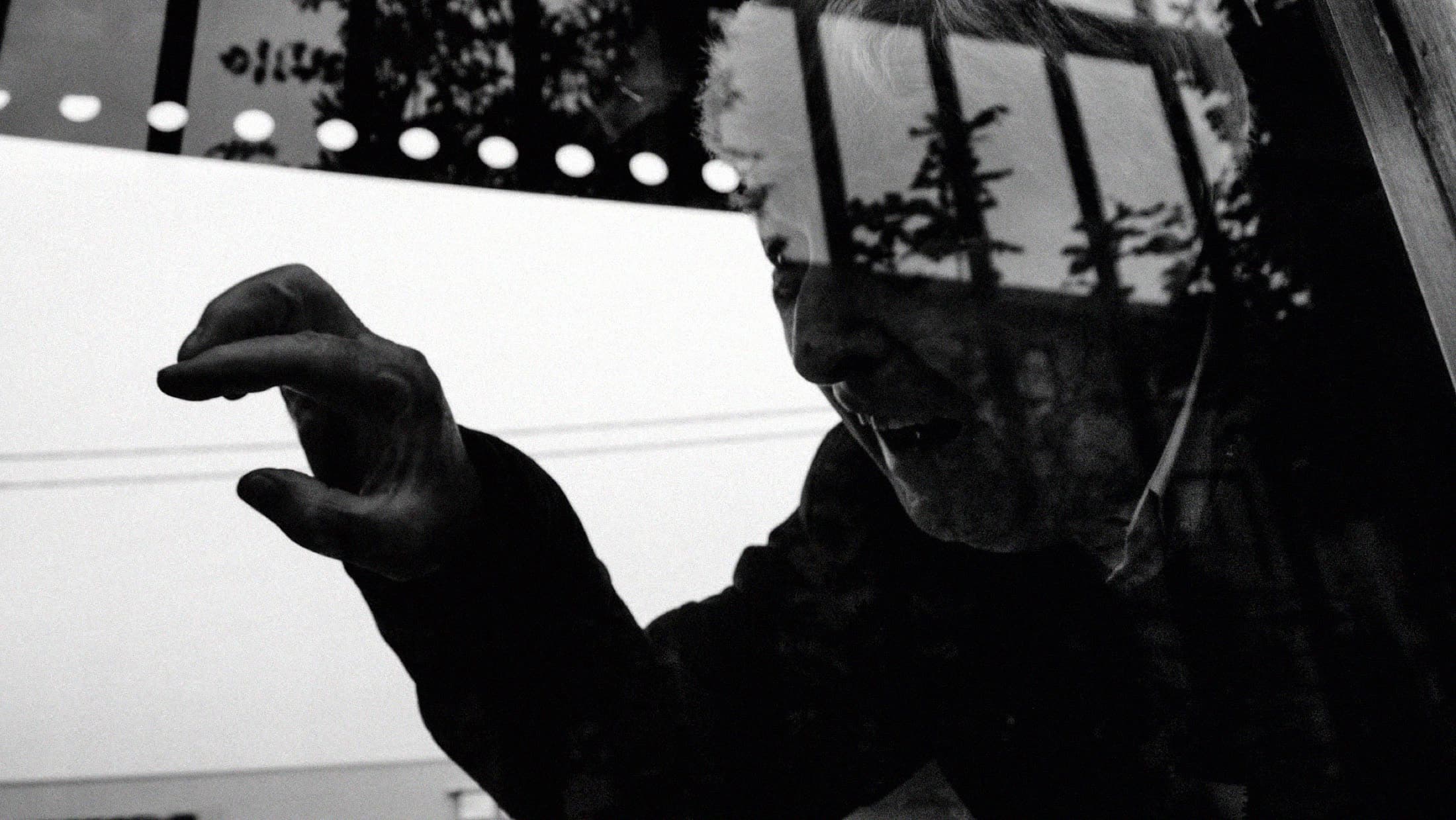 A raised hand and its shadow